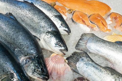 На фотографии запечатлен магазин морепродуктов с выставкой свежего лосося на льду. Полные и порезанные куски создают атмосферу свежести и качественных продуктов. Этот снимок идеально подходит для использования в рекламе рыбных магазинов, ресторанов, а также для обучающих материалов по порезке рыбы. Фотография иллюстрирует разнообразие и качество морепродуктов, предлагаемых в данном магазине.